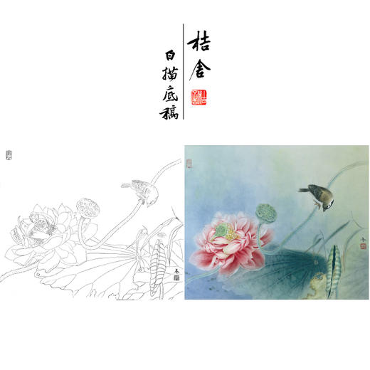 【有步骤、大彩图】杨冬冬工笔画白描底稿斗方小品《清秋》荷花麻雀初学者临摹花鸟线稿HD51 商品图0