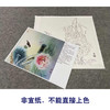 【有步骤、大彩图】杨冬冬工笔画白描底稿斗方小品《梦水瑶》荷花麻雀初学者临摹花鸟线稿HD54 商品缩略图2