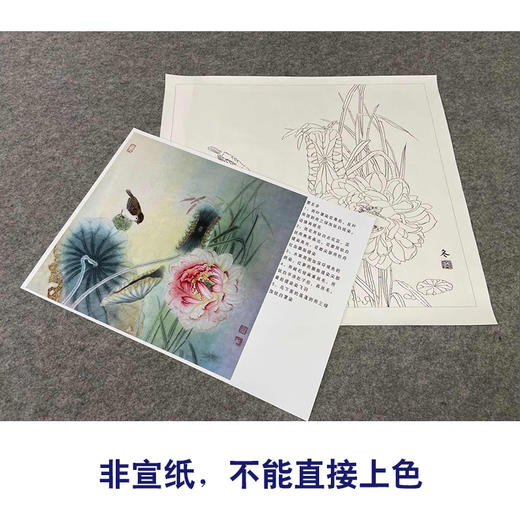 【有步骤、大彩图】杨冬冬工笔画白描底稿斗方小品《梦水瑶》荷花麻雀初学者临摹花鸟线稿HD54 商品图2