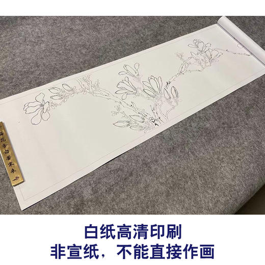 【长卷】工笔花鸟画白描底稿古画长卷文徵明《白玉兰图》多种白描尺寸可选G022 商品图2