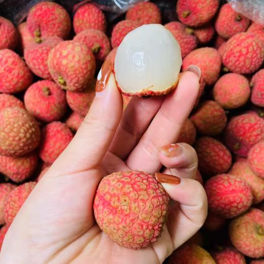 肉嫩q弹爆汁,荔枝味浓郁  澳洲荔枝果肉厚实的品种 商品图11