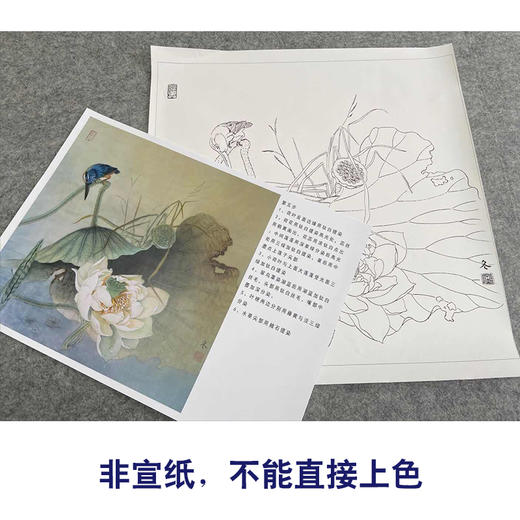 【有步骤、大彩图】杨冬冬工笔画白描底稿斗方小品《纤手弄琼珠》荷叶荷花翠鸟初学者临摹花鸟线稿HD53 商品图2