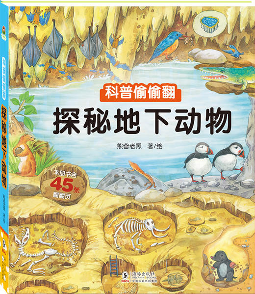 科普偷偷翻（全4册） 商品图4