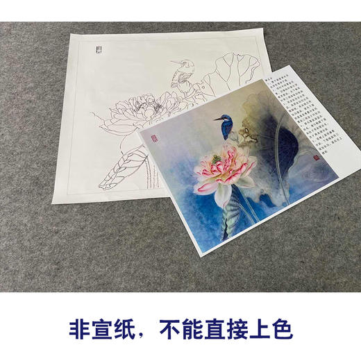 【有步骤、大彩图】杨冬冬工笔画白描底稿斗方小品《美目盼兮》荷花翠鸟初学者临摹花鸟线稿HD49 商品图2