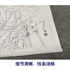 【有步骤、大彩图】杨冬冬工笔画白描底稿斗方小品《熏风》荷花初学者临摹花鸟线稿HD55 商品缩略图4