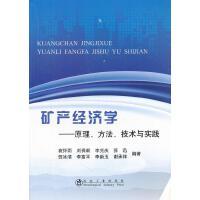 矿产经济学--原理、方法、技术与实践/袁怀雨 刘保顺 李克庆 苏迅 贺冰清 李富平 李新玉 谢承祥