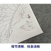 【有步骤、大彩图】杨冬冬工笔画白描底稿斗方小品《美目盼兮》荷花翠鸟初学者临摹花鸟线稿HD49 商品缩略图4