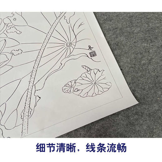 【有步骤、大彩图】杨冬冬工笔画白描底稿斗方小品《美目盼兮》荷花翠鸟初学者临摹花鸟线稿HD49 商品图4