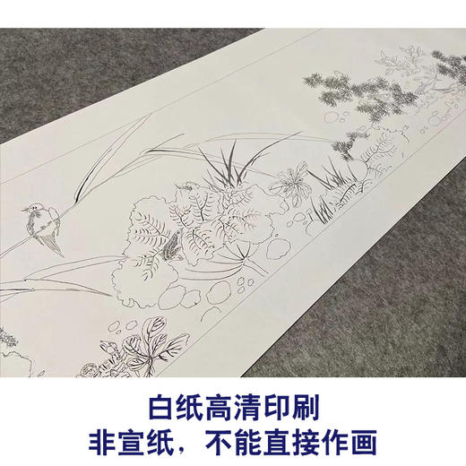 【长卷】工笔画白描底稿古画长卷钱与龄《秋风墨藻图》多种白描尺寸可选G034 商品图2