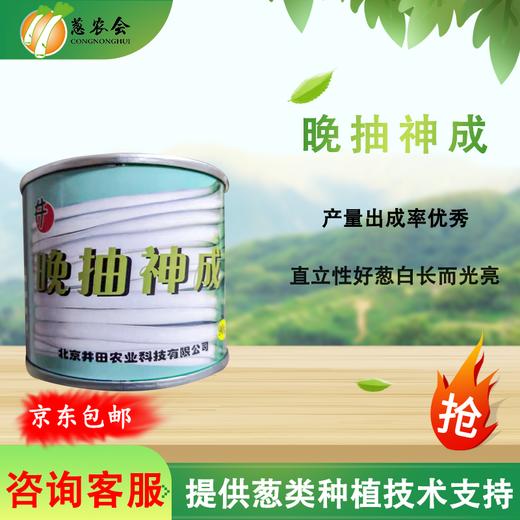 【种子】日本进口一代杂交越冬拱棚葱优质品种【晚抽神成 】 商品图0