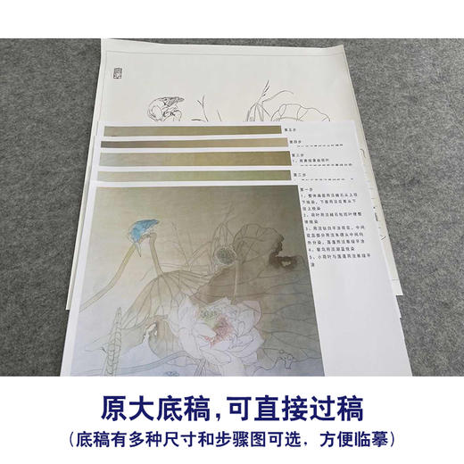 【有步骤、大彩图】杨冬冬工笔画白描底稿斗方小品《纤手弄琼珠》荷叶荷花翠鸟初学者临摹花鸟线稿HD53 商品图1