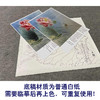 【有步骤、大彩图】杨冬冬工笔画白描底稿斗方小品《清秋》荷花麻雀初学者临摹花鸟线稿HD51 商品缩略图3