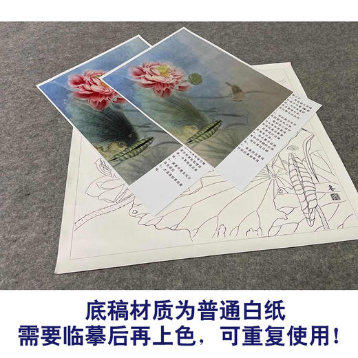 【有步骤、大彩图】杨冬冬工笔画白描底稿斗方小品《清秋》荷花麻雀初学者临摹花鸟线稿HD51 商品图3