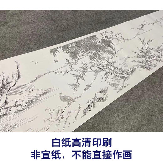 【长卷】工笔花鸟画白描底稿古画长卷沈铨《百鸟朝凤图》多种白描尺寸可选G041 商品图2