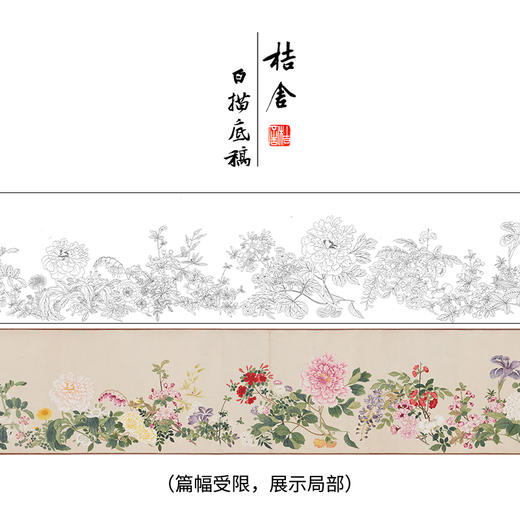 【长卷】工笔花鸟画白描底稿古画长卷钱维城《万有同春图》多种白描尺寸可选G033 商品图0