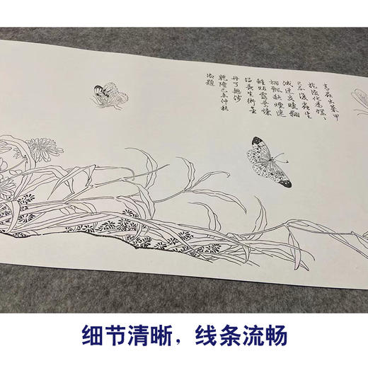 【长卷】工笔花鸟蝴蝶画白描底稿古画长卷赵昌《写生蛱蝶图》多种白描尺寸可选G005 商品图3