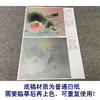 【有步骤、大彩图】杨冬冬工笔画白描底稿斗方小品《清池素影》荷花麻雀初学者临摹花鸟线稿HD52 商品缩略图3