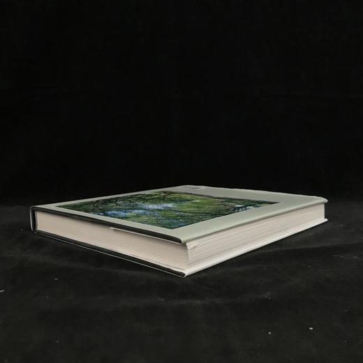 普林斯顿大学印象 300余幅插图 精装大16开 商品图2