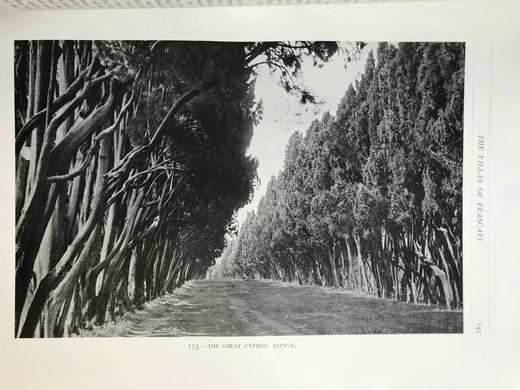 1919年 意大利庭院图集 400余幅插图 精装8开 商品图10