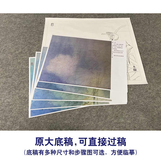 【有步骤、大彩图】杨冬冬工笔画白描底稿斗方小品《清秋》荷花麻雀初学者临摹花鸟线稿HD51 商品图1