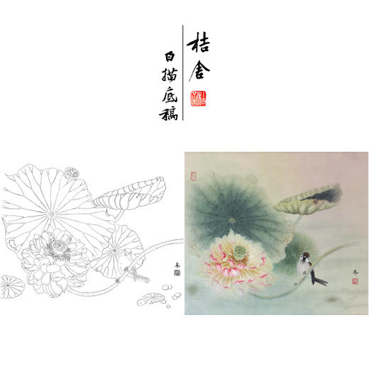 【有步骤、大彩图】杨冬冬工笔画白描底稿斗方小品《清池素影》荷花麻雀初学者临摹花鸟线稿HD52 商品图0