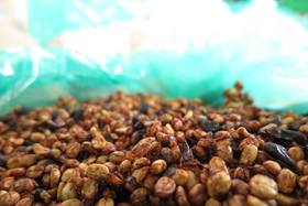 认识咖啡豆|蜜处理的细分