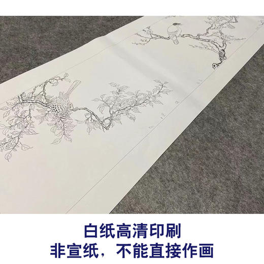【长卷】工笔花鸟画白描底稿古画长卷佚名《花卉翎毛图》多种白描尺寸可选G039 商品图2