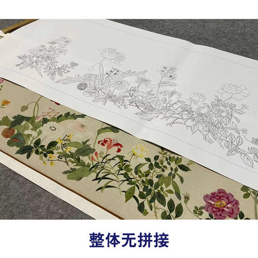 【长卷】工笔花鸟画白描底稿古画长卷钱维城《万有同春图》多种白描尺寸可选G033 商品图4