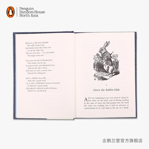 嘉德文库|【企鹅兰登】爱丽丝梦游仙境 Alice's Adventures in Wonderland 刘易斯·卡罗尔 puffin 海雀 V&A 青少年小说 英文原版进口书籍 商品图4