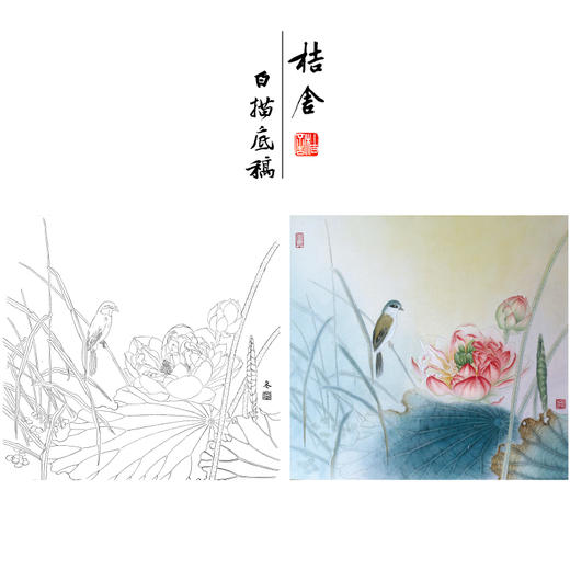 【有步骤、大彩图】杨冬冬工笔画白描底稿斗方小品《寒香映水》荷花伯劳鸟初学者临摹花鸟线稿HD47 商品图0