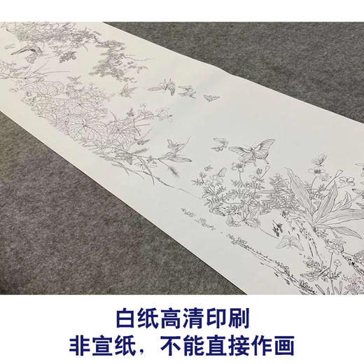 【长卷】工笔花鸟画白描底稿国画长卷郎世宁余省《百蝶图》多种白描尺寸可选G021 商品图2