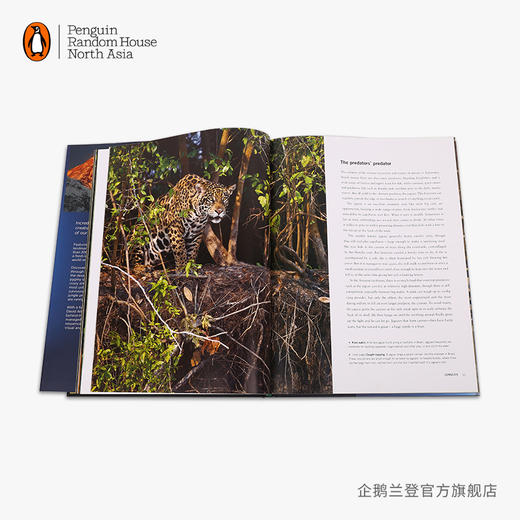 嘉德文库|【企鹅兰登】行星地球IIPlanet Earth II 英文原版进口小说BBC纪录系列 商品图3
