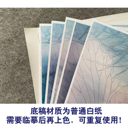 【有步骤、大彩图】杨冬冬工笔画白描底稿斗方小品《寒香映水》荷花伯劳鸟初学者临摹花鸟线稿HD47 商品图3