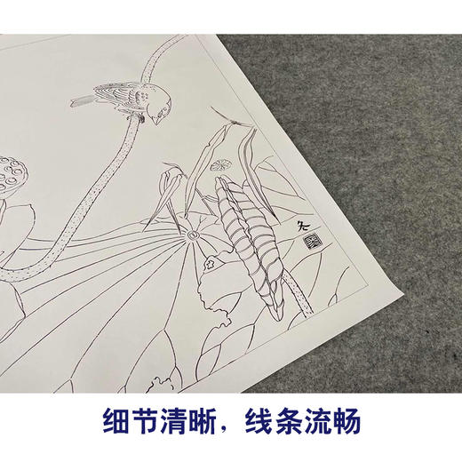 【有步骤、大彩图】杨冬冬工笔画白描底稿斗方小品《清秋》荷花麻雀初学者临摹花鸟线稿HD51 商品图4