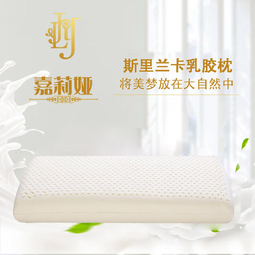  【全新升级】嘉莉娅长款面包乳胶枕 斯里兰卡原产地现采现加工 天ran乳胶含量92~95% 邓禄普工艺人体工学柔软弹性型设计 尺寸误差1cm左右  商品图1