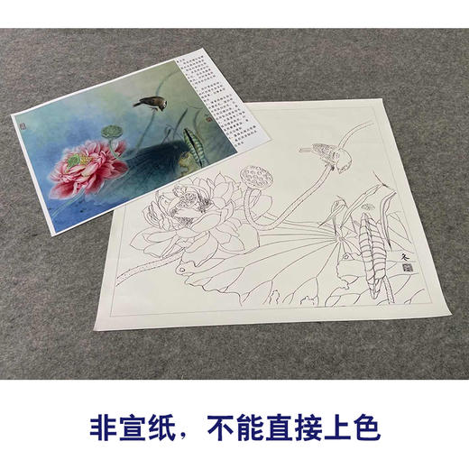 【有步骤、大彩图】杨冬冬工笔画白描底稿斗方小品《清秋》荷花麻雀初学者临摹花鸟线稿HD51 商品图2