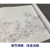 【长卷】工笔花鸟画白描底稿古画长卷钱维城《万有同春图》多种白描尺寸可选G033 商品缩略图3