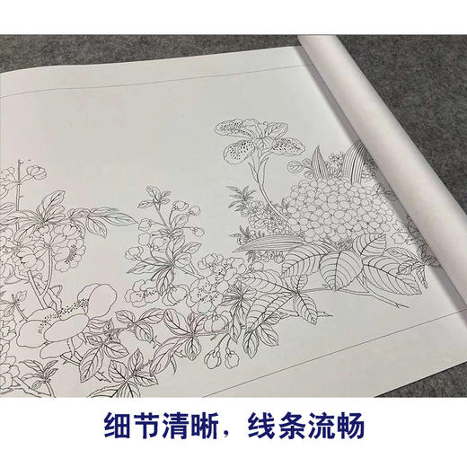 【长卷】工笔花鸟画白描底稿古画长卷钱维城《万有同春图》多种白描尺寸可选G033 商品图3