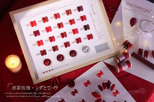 爆火开店红 特别版24色套装（秒杀） 商品图1