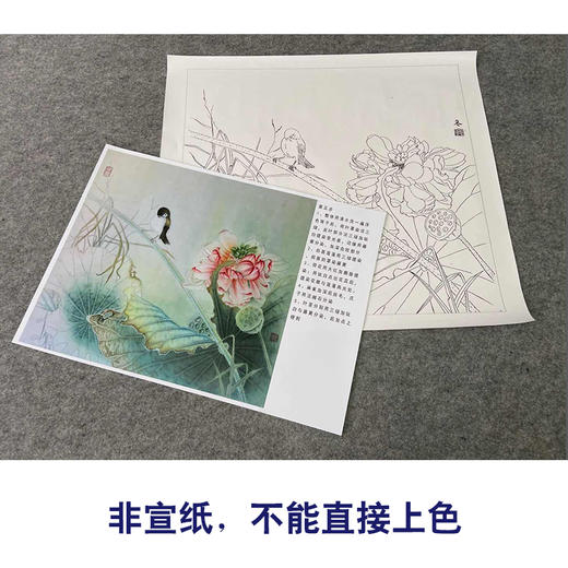 【有步骤、大彩图】杨冬冬工笔画白描底稿斗方小品《美人怜》荷花麻雀初学者临摹花鸟线稿HD48 商品图2