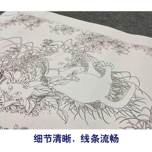 【长卷】工笔动物画白描底稿古画长卷朱瞻基《唐苑嬉春图》多种白描尺寸可选G031 商品图3