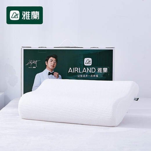 【专柜同款】雅兰家纺 舒睡记忆枕 夏梦成人枕 舒睡记忆枕 商品图0