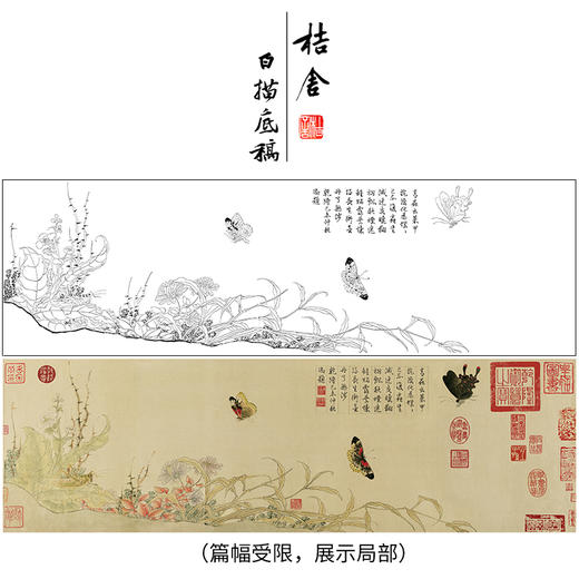 【长卷】工笔花鸟蝴蝶画白描底稿古画长卷赵昌《写生蛱蝶图》多种白描尺寸可选G005 商品图0