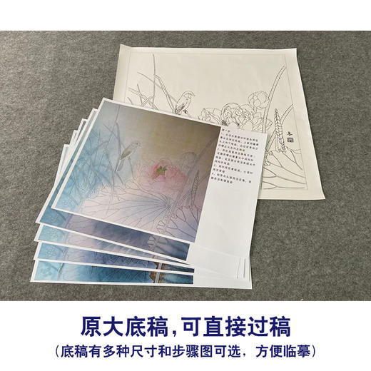 【有步骤、大彩图】杨冬冬工笔画白描底稿斗方小品《寒香映水》荷花伯劳鸟初学者临摹花鸟线稿HD47 商品图1