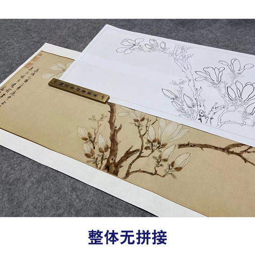 【长卷】工笔花鸟画白描底稿古画长卷文徵明《白玉兰图》多种白描尺寸可选G022 商品图4