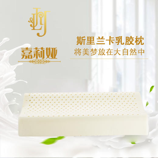  【全新升级】嘉莉娅中童乳胶枕 斯里兰卡原产地现采现加工 天ran乳胶含量92~95% 邓禄普工艺 人体工学柔软弹性型设计 尺寸误差1cm左右  商品图1