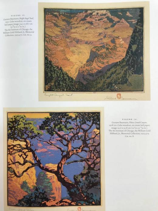 芝加哥西部艺术图集 91幅插图 精装大16开 商品图10