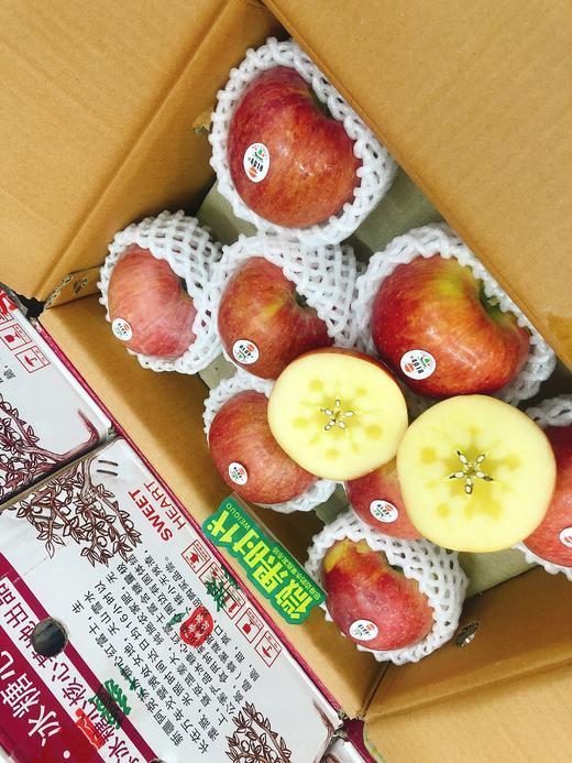 红皮阿克苏苹果一箱（拼团） 商品图1