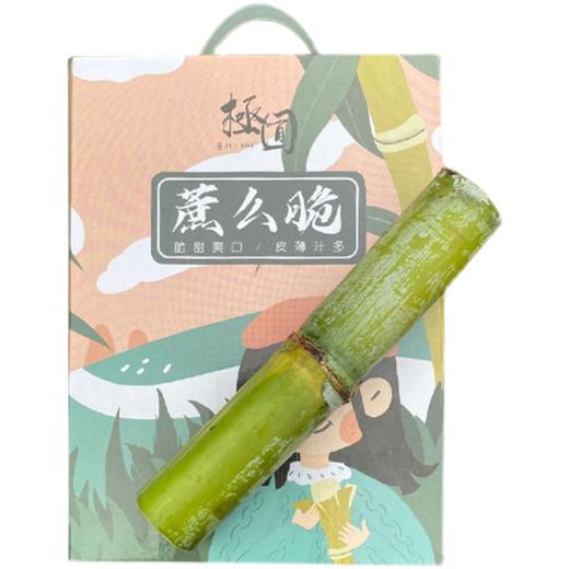 【秒杀】陶山甘蔗绿皮脆皮果蔗5斤装（10根-12跟）20-25cm/根 商品图4