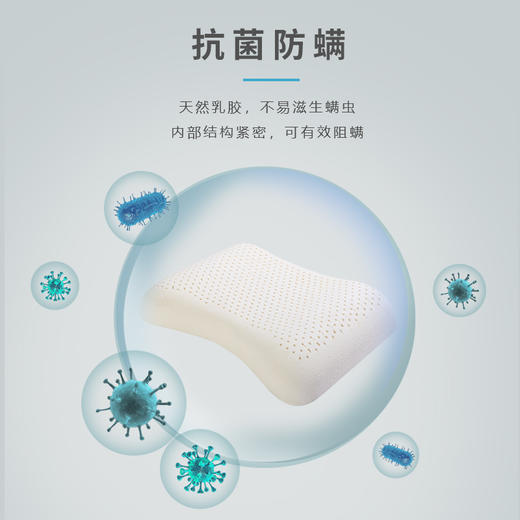 【阿宝自己的品牌 全新升级】嘉莉娅女士护肩乳胶枕 斯里兰卡原产地现采现加工 天ran乳胶含量92~95% 邓禄普工艺 人体工学柔软弹性型设计 尺寸误差1cm左右 商品图1